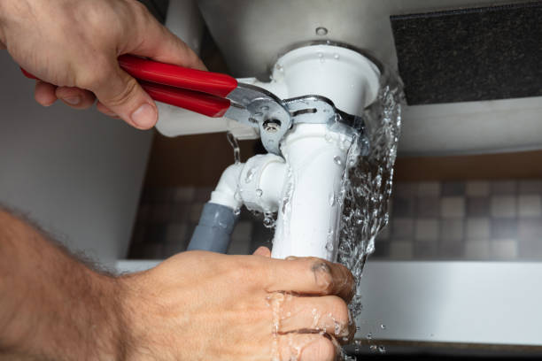 Best Local water damage restoration  in , AK