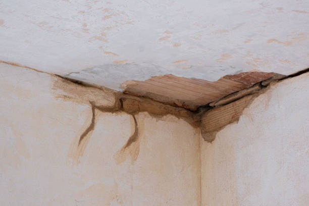 Best Water damage restoration near me  in , AK