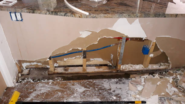 Best Flood restoration services  in , AK