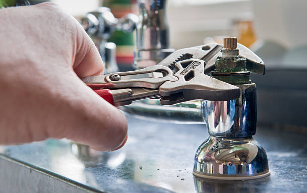 Best Professional water damage repair  in , AK
