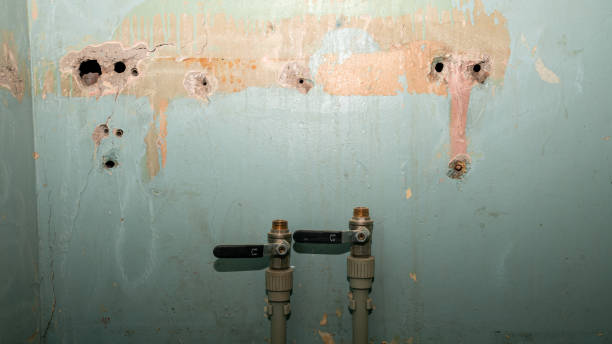 Best Water damage restoration cost  in , AK