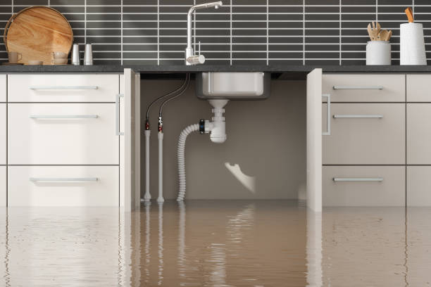Best Ceiling water damage repair  in , AK