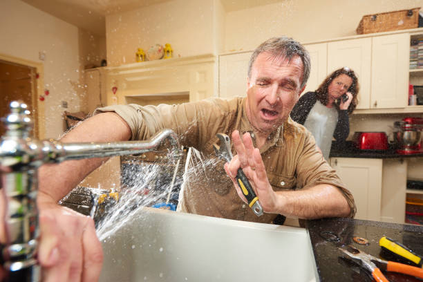 Best 24-hour water damage restoration  in , AK